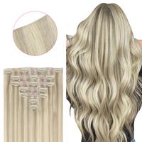 #17A/60A Ash Blonde Highlights