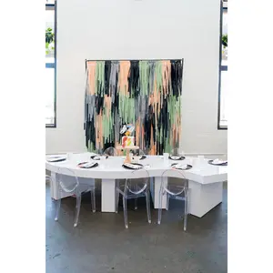 Galactic Celebration Fringe Backdrop