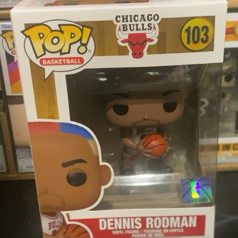 Dennis Rodman Chicago bulls  (colorfull hair)
