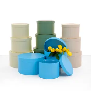 Set of 3, Round Flower/Gift Boxes with Lids, Plastic Liner, Various Colors, Pastel | W738