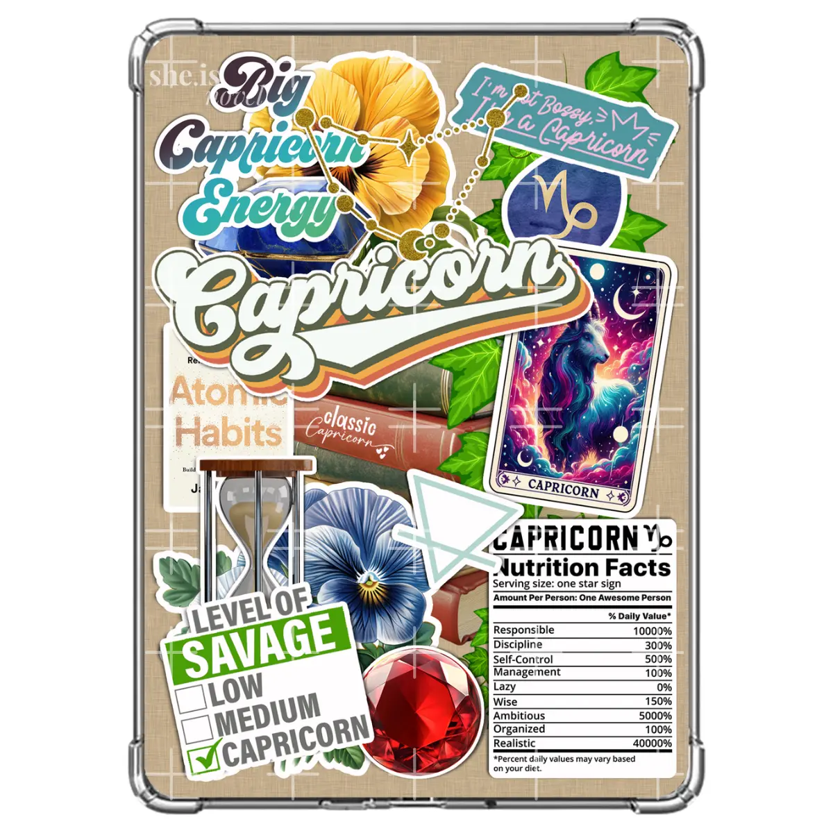 CAPRICORN Reader (Variety Pack) | Kindle | Kobo | Boox E-Reader Inserts