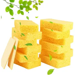 12-Count Cleaning Scrub Sponge- Compressed Cellulose Sponges Non-Scratch  Sponge for Kitchen Bathroom , Funny Cut-Outs DIY