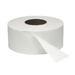 Windsoft  Jumbo Roll Toilet Tissue 2-Ply 8.9 in. White