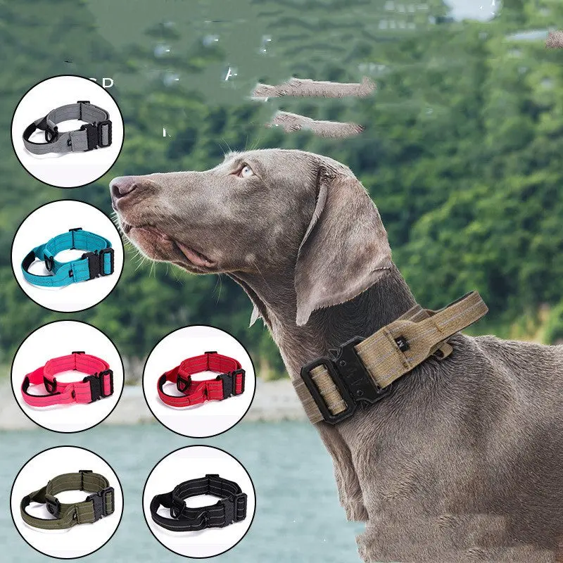 Durable High Quality Quick Release Dog Walking Collar