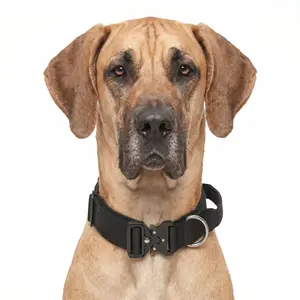 Heavy Duty Tactical Dog Collar with Handle No Pull Military K9 Training Collar Quick Release Metal Buckle Adjustable Nylon Pet Gear for Medium Large Dogs