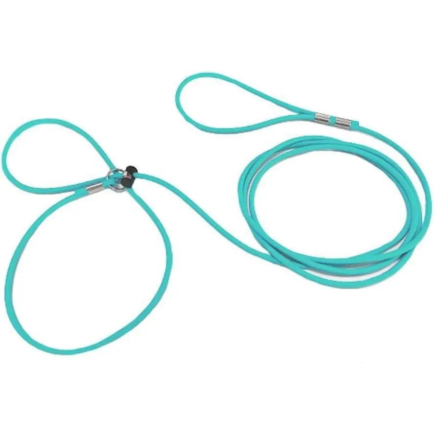 Mini Pig Harness & Leash -Adjustable- 12' in Length -Also fits Pot Bellied Pigs and Other Animals - Ferrets, Rabbits, Dogs, Cats (Teal)