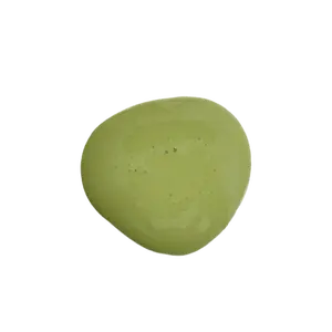 Bayberry - Old Fashioned Milk Paint