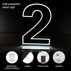 Number 2 Neon Light - Sleek Minimalist Design for Modern Elegance in Homes Offices & Event Spaces USB Powered Neon Sign with Battery Box Laptop Power Bank Adaptor lights