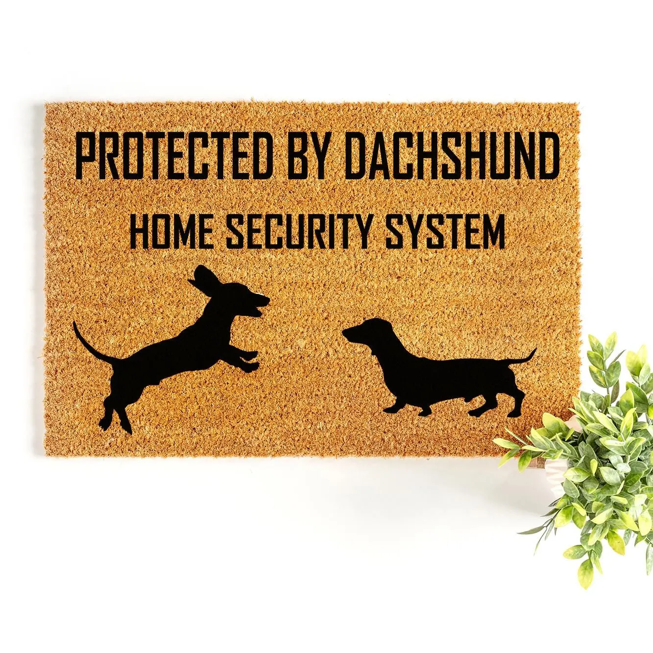 Funny Doormat - Protected By Dachshund Home Security - Welcome Mat - Front Porch - Cute Doormat - Funny Gift - Weiner Dog - Dog Lover 3499zz