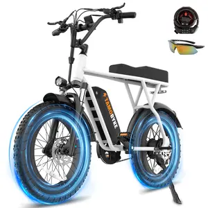 T63 Electric Bike, 4 Color Electric Bike for Adults, 750W Motor, 20 MPH 468Wh Remove Battery, 20-4''Fat Tire Commuting Ebike, All-Terrain Electric Dirt Bike for Mountain, Snow, Sand, Road