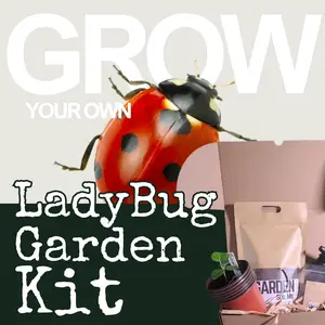 Grow your own LadyBug Garden Kit