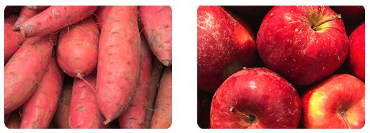 FINN Pumpkin Plus Superfood Meal Topper for Dogs - Fast-Acting Digestive Relief, Supports Digestive Health, Soothes Sensitive Stomachs with Pumpkin, Psyllium Husk, Apple, Sweet Potato, & Blueberry – 8oz Powder Supplements