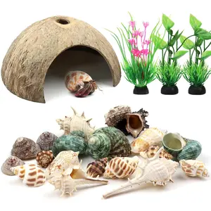 Hermit Crab Shells Natural Coconut Shell Hut Artificial Plants, 22 PCS Hermit Crab Supplies Seashells for House Hermit Crab Tank Habitat