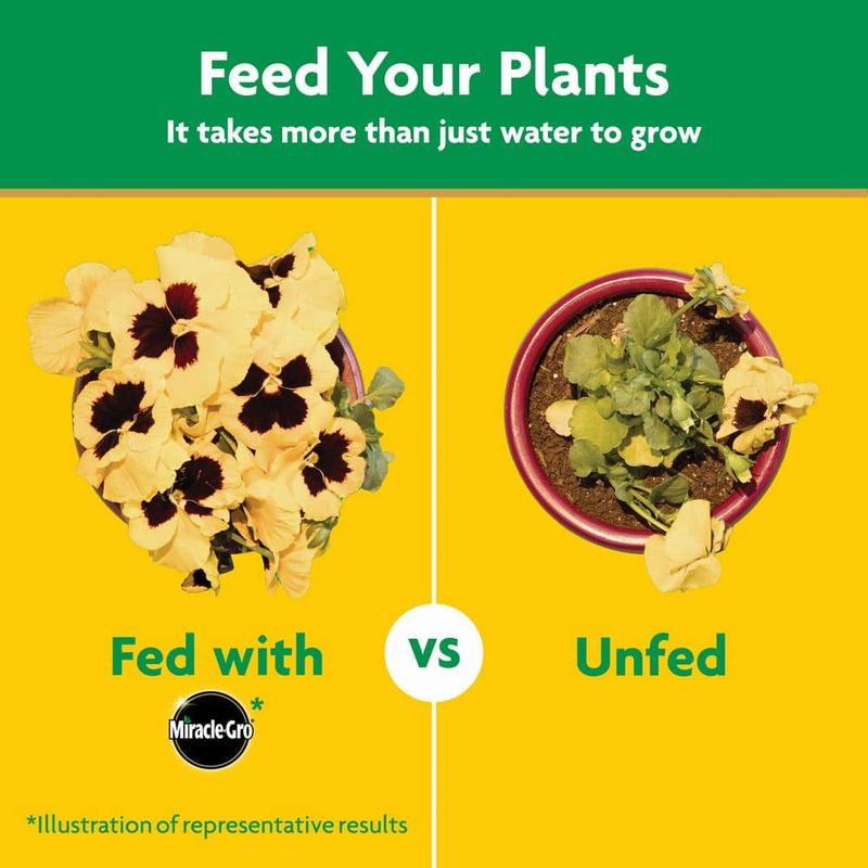 Moisture Control Potting Mix and Water Soluble All Purpose Plant Food