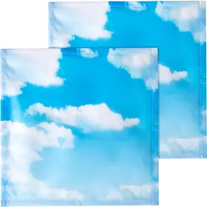 2 count 2 x 2 ft Fluorescent Light Covers for Ceiling Lights Classroom  Light Filters for Reducing Harsh Glare Flicker for Office Classroom  Drop Ceiling(Cloud)