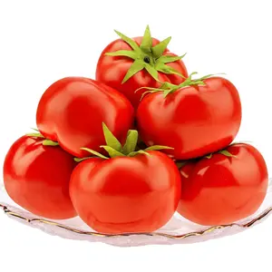 6pcs Fake Tomatoes Fake Vegetables and Fruits for Home Kitchen Table Centerpieces Decorations Tomatoes Party Theme Vegetable Prop Display