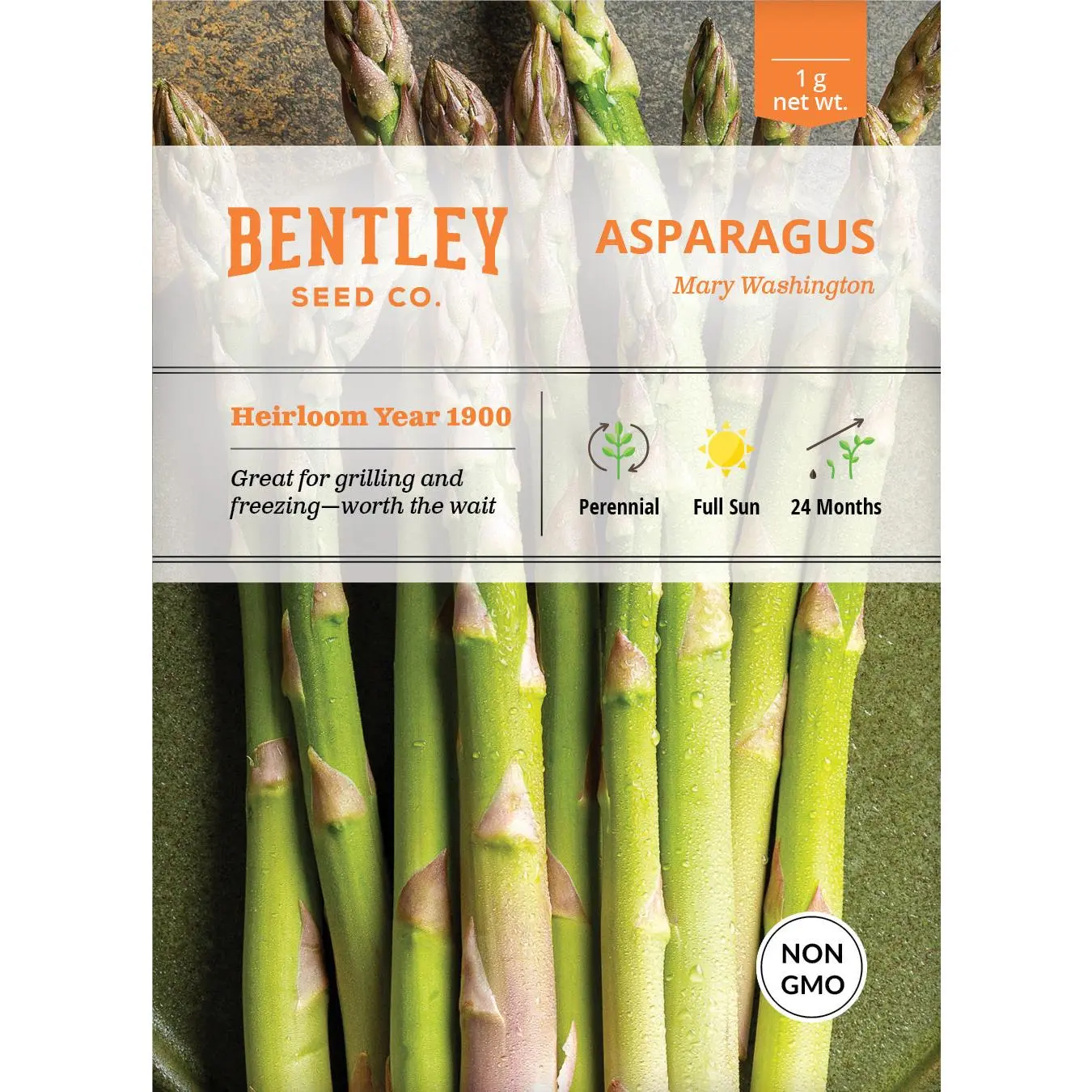 Mary Washington Asparagus (Asparagus Officinalis) Heirloom 1900 Vegetable Seed Packets - 24 Months Shelf Life, 9 in Mature Height, Full Sun-Thriving, Nutrient-Rich, Ideal for Eating & Freezing