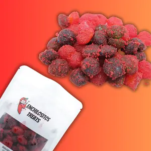 Watermelon Gushies Half Pound Snack Treat Candy Fruity Bonbon Sweet