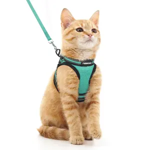 Rabbitgoo Escape Proof Cat Harness and Leash Set