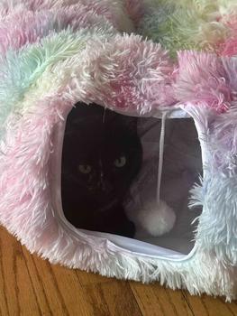 product review image from Ci 🌷 5