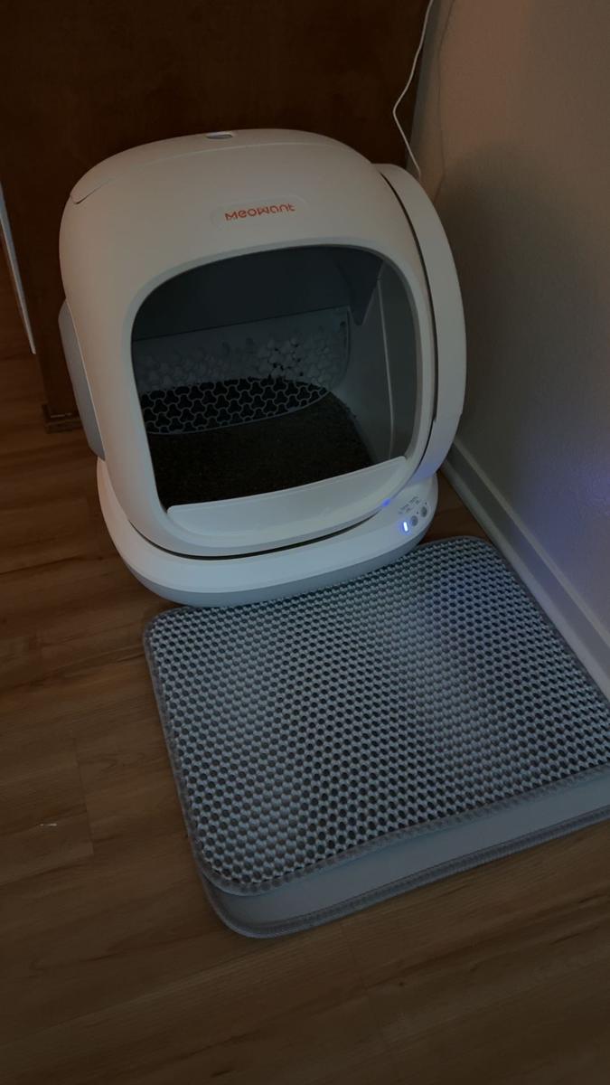 Item: 1 Cat Litter Box+3 Pack Liner, Grey