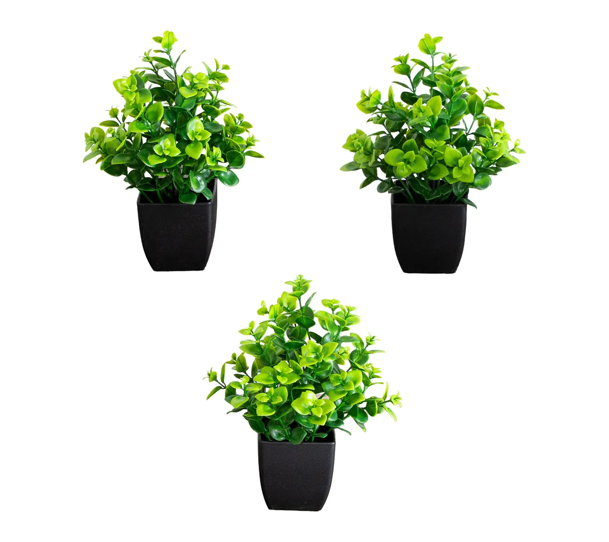 7-in New Boxwood Plant in Pot - Set of 3 by Nearly Natural