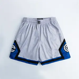 SomeSlight Capsule Retro Mesh Shorts – Anime Style | Premium Streetwear Fit