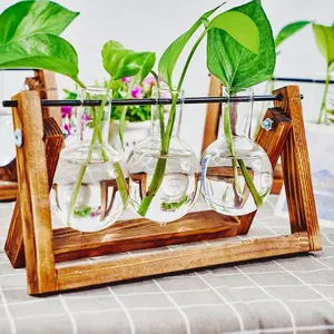 Glass Vase with Wooden Stand, 1 Count Modern Plant Pot Desktop Hydroponic Planter for Home Decoration