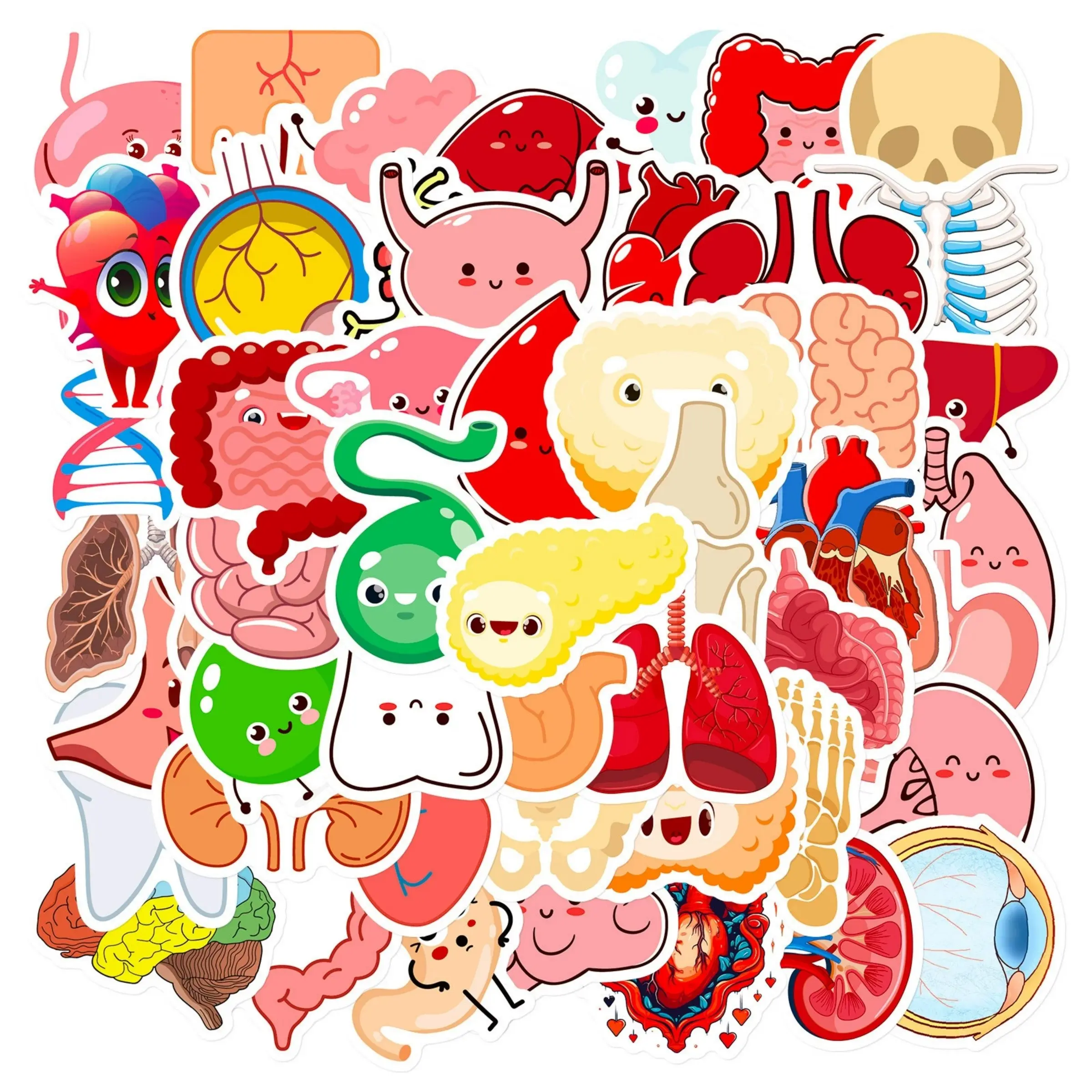 100pcs Cute Human Body Organ Recognition Stickers,  Adorable Learning Chart Stickers, Educational Toy for Kids, Fun and Interactive