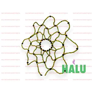 Maya para Kofa Sopera Orula / Mesh for Kofa/ IFA Santeria