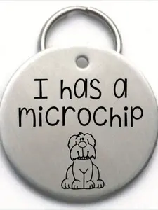 Pet ID Tag - I Has a- Cute Puppy Stainless Steel Engraved Metal Poodle Dog Tag