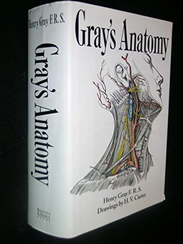 USED Book - Gray's Anatomy by Henry Gray (Hardcover) - english