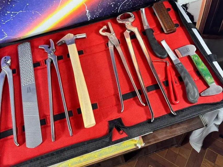 12 items Heavy Duty Professional Horse Care Farrier Tool Kit Hoof Clincher Cutter Loop Knifr Hoof Knife RASP