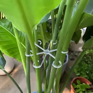 4pcs Adjustable Transparent Plant Support - Clips for Secure & Securing Upright Growth of Garden Flowers, Stems & Garden Plants with Green Vine Trellis