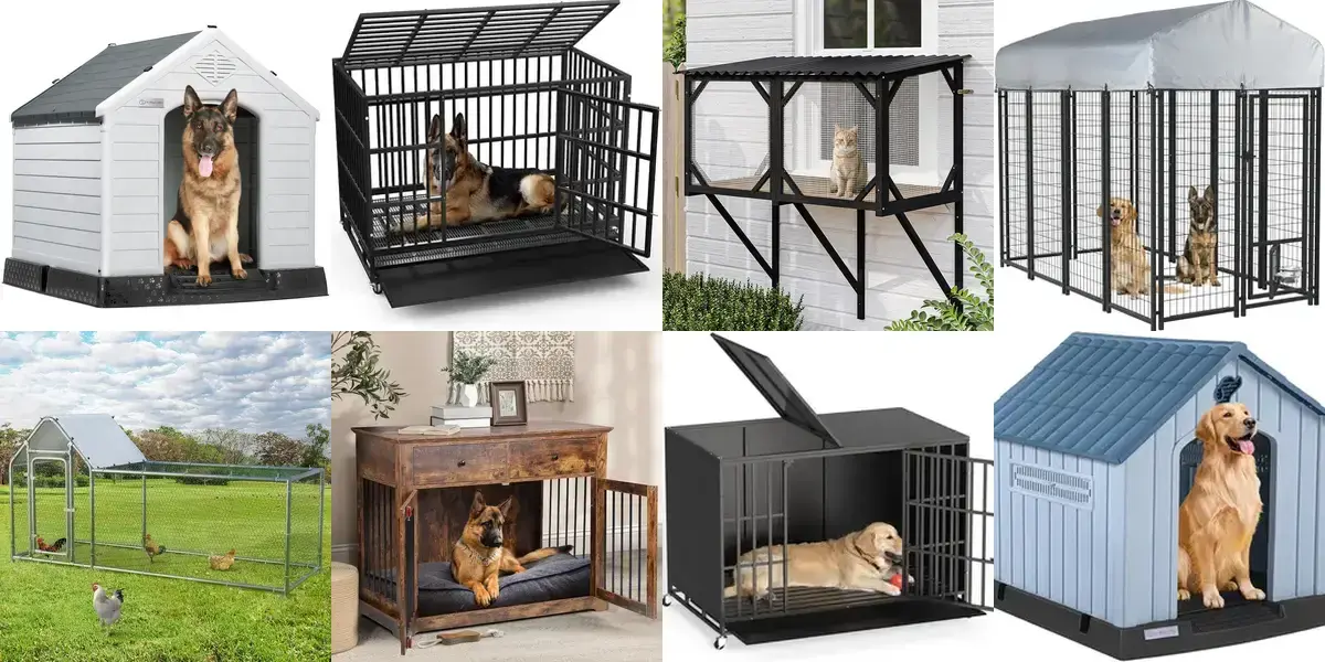 background preload poster image 