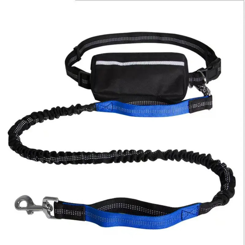 Hands-free Dog Leash with Zipper Pouch, Dual Handles, Double Bungees