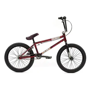 Colony Premise 20" Complete BMX Bike - Bloody Black