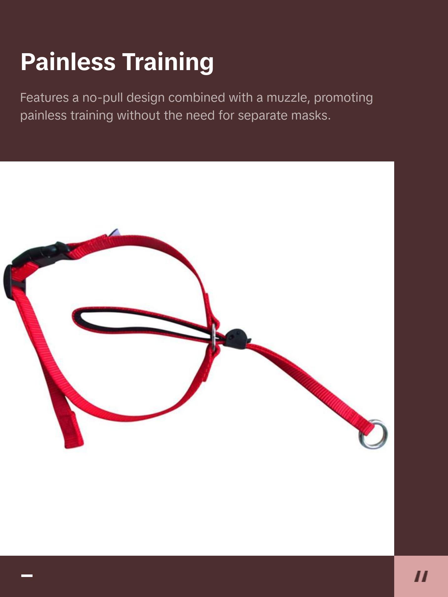 Pet Dog Head Collar Gentle Control Leash Leader Stop Pulling Training Tool No-Pull Painless Head Leash Collar Pet Products