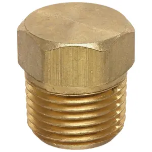 - 56121-06 56121 Brass Pipe Fitting, Cored Hex  Plug, 3/8" NPT Male Pipe