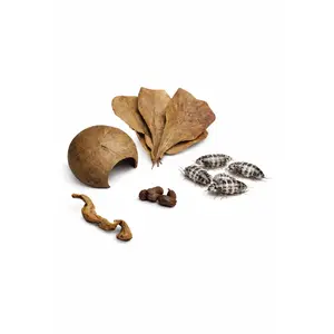 Isopod & Microfauna Botanical Habitat Kit