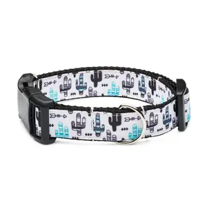 White Black Teal Cactus Saguaro Dog Collar