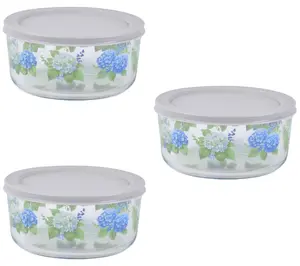 Temp-tations Borosilicate Glass Bowls with Lids
