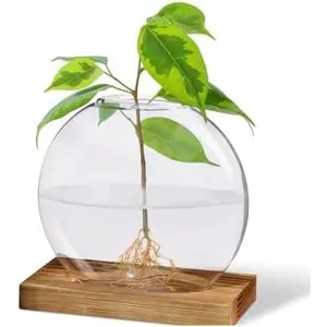 Propagation Station Vase, Glass Terrarium Jars, Modern Hydroponic Planters for Indoor , Desktop Glass Pots for  Round Vases  Holder  Office Decor, 1Vase