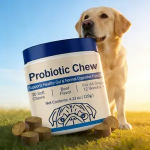 Premium-Quality Vet-Reviewed Dog Probiotics (Soft Chews) – Aids Seasonal Allergies, Gut & Digestive Wellness