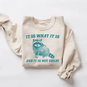 It Is What It Is And It Is Not Great Sweatshirt, Mental Health Sweatshirt, Funny Sweatshirt Women, Meme Sweatshirt, Raccoon Shirt, Gag Tee, Funny Tees