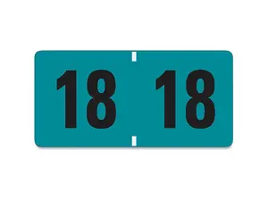 Smead ETYJ Color-Coded Year Labels