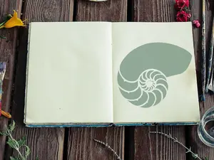 Seashell Stencil - Art and Wall Stencil
