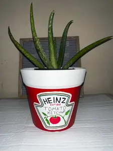 Hand Painted Ketchup Painted Plant Pot - Vibrant Colors & Varnished Finish - 4x3.5 Inches - Ideal for Succulents Cacti Herbs Flowers - Indoor Outdoor Decor