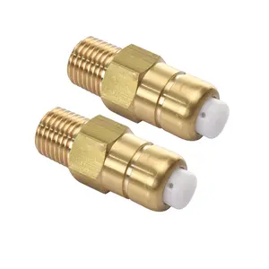 Tool Daily Brass Thermal Release Valve for Pressure Washer Pumps, 1/4 Inch NPT Fitting, 2-Pack Value Set