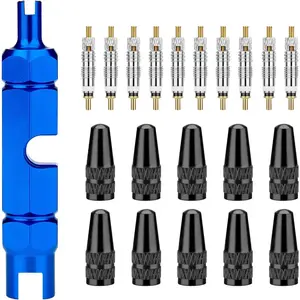 Valve Core Bike Kit-21 Pieces, Stem Removal Tool, Brass Valve Cores and Stem Caps